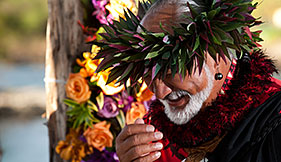 Hawaiian Wedding